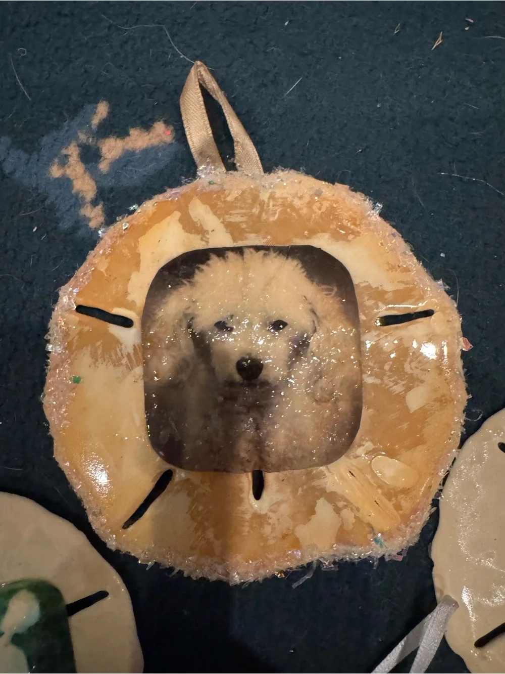Handmade Beige real  Sand Dollar Pet Photo Ornament -all of them